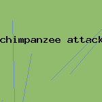 chimpanzee attack travis