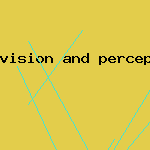 vision and perception articles