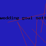 wedding goal setting
